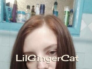 LilGingerCat