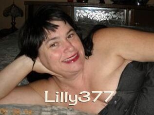 Lilly377