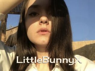 LittleBunnyX