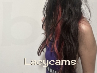Lacycams