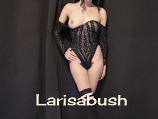 Larisabush