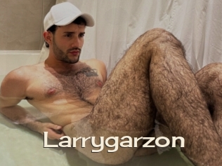 Larrygarzon