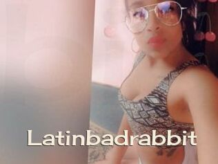 Latinbadrabbit