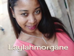 Laylahmorgane