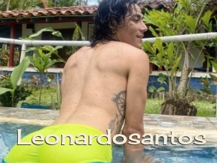 Leonardosantos