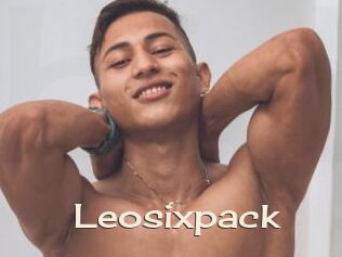 Leosixpack