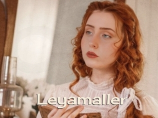 Leyamaller