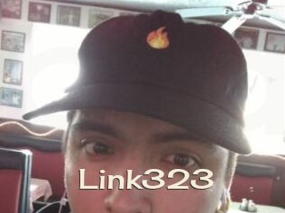 Link323