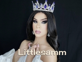 Littlesamm