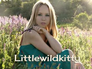 littlewildkitty Big Dicks Round Ass