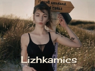 Lizhkamics