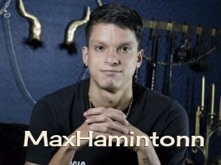 MaxHamintonn
