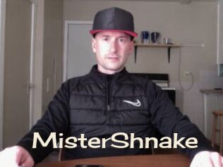 MisterShnake