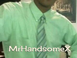 MrHandsomeX