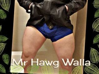 Mr_Hawg_Walla