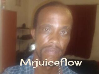 Mrjuiceflow