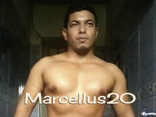 Marcellus20