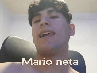 Mario_neta