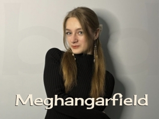 Meghangarfield