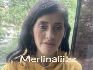 Merlinaliizz