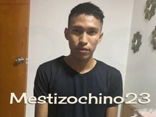 Mestizochino23