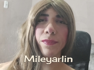 mileyarlin Big Dicks Round Ass