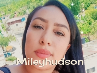 Mileyhudson