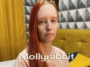 Mollyrabbit