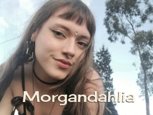 Morgandahlia