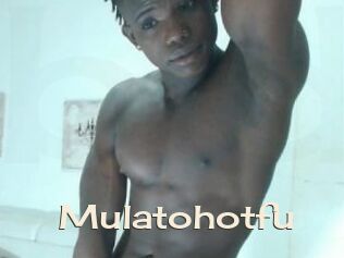 Mulatohotfu