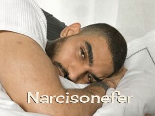 Narcisonefer