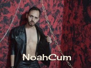 NoahCum