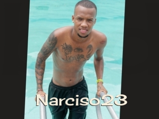 Narciso23