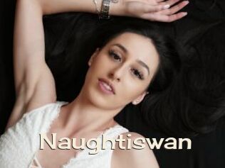 Naughtiswan