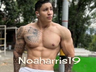 Noaharris19