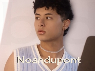 Noahdupont