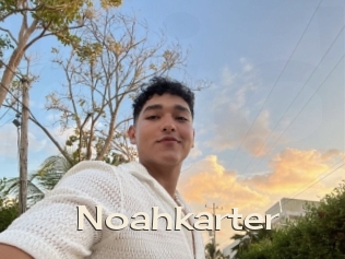 Noahkarter