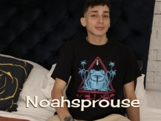 Noahsprouse