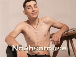 Noahsprouse