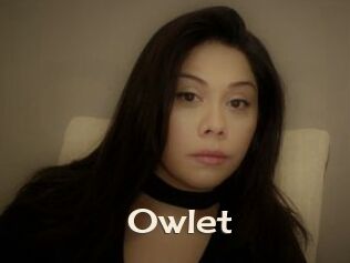 _Owlet_
