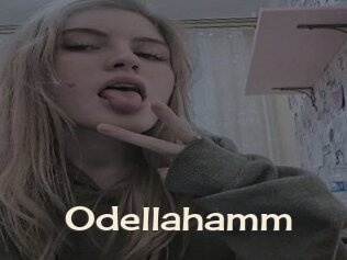 Odellahamm