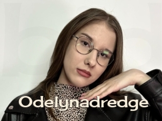 Odelynadredge