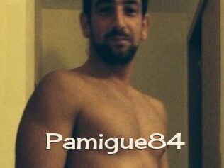 Pamigue84