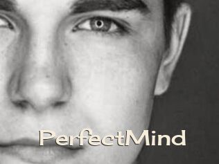 PerfectMind