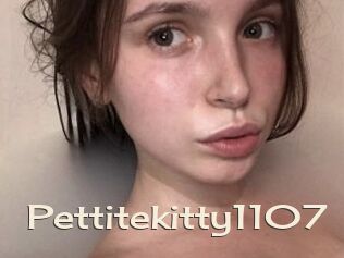 Pettitekitty1107