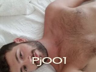 Pj001