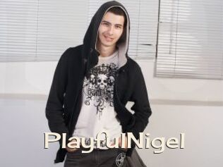 PlayfulNigel