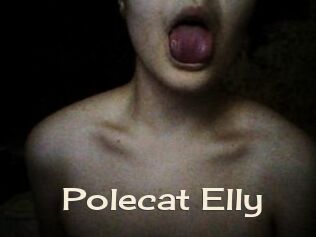 Polecat_Elly