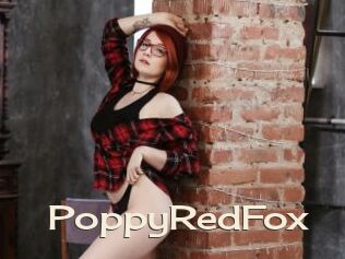 PoppyRedFox