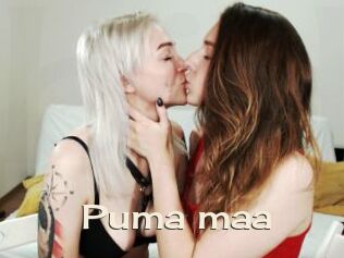 Puma_maa